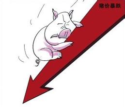 灵核网