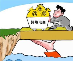 灵核网
