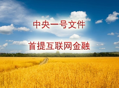 灵核网