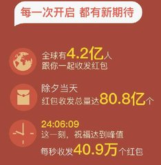 灵核网
