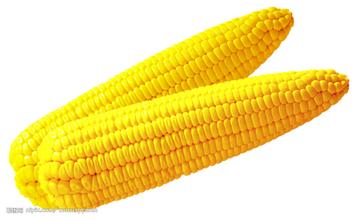 灵核网