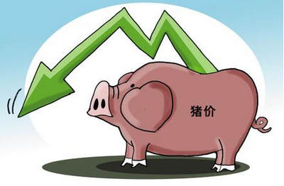 2015年6月国内生猪价格走势分析
