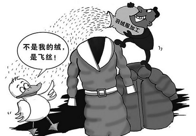 2015年我国羽绒业乱象现状分析