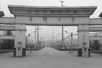 华联矿业拟重组乳业公司 采矿商跨界卖牛奶