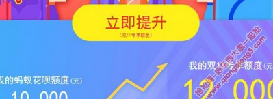 企业聚焦