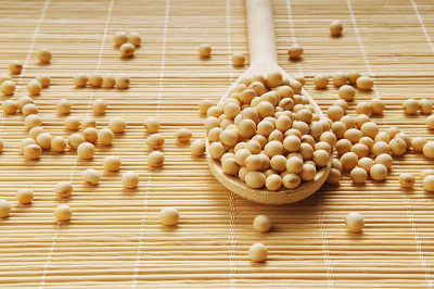 大豆价格行情