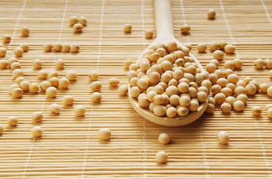 大豆价格市场行情