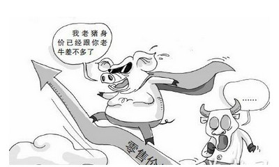 生猪价格市场行情