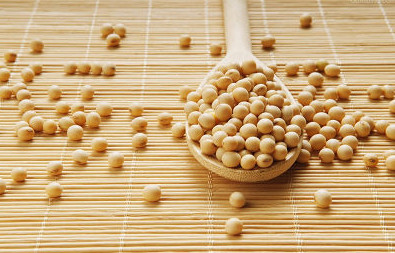 大豆价格市场行情