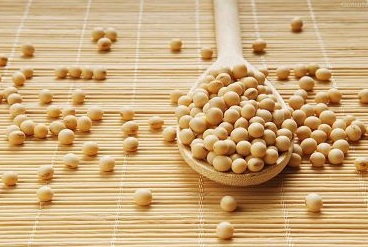 大豆价格市场行情