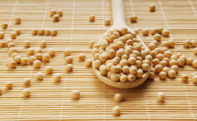 大豆价格市场行情