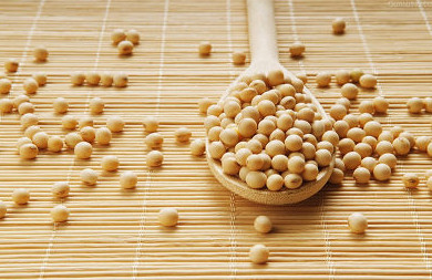 大豆价格市场行情