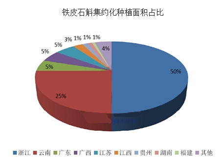 铁皮石斛市场 