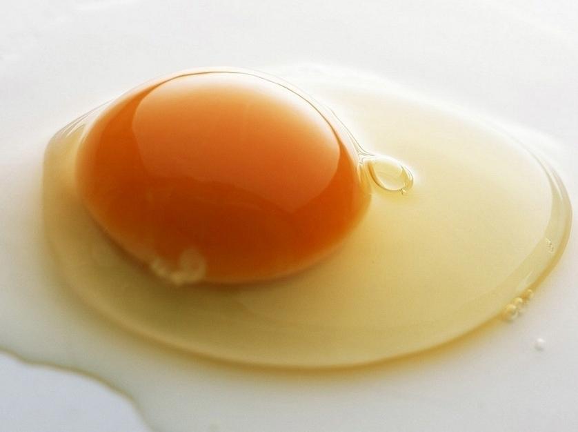 鸡蛋价格淘汰鸡价格最新市场行情预测