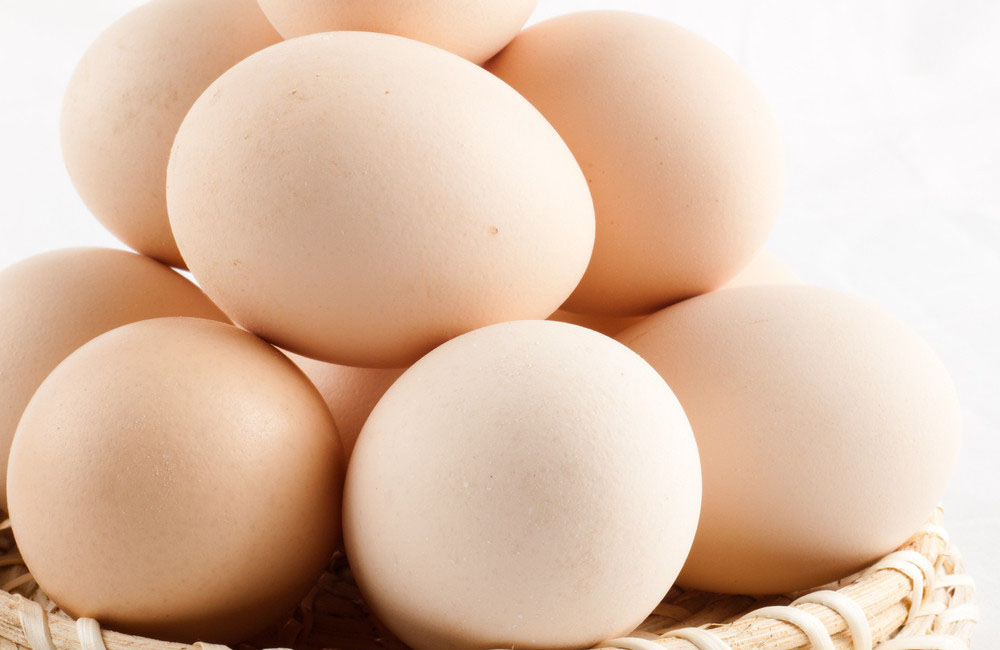 我国鸡蛋价格淘汰鸡价格最新市场行情预测