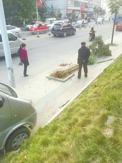 河南一卫生院院长座驾轧死婴儿 肇事司机满身酒气