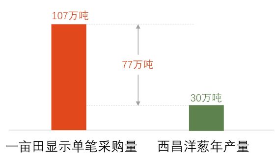 洋葱
