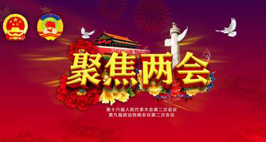 　　两会聚焦：稳步推进石油天然气体制改革