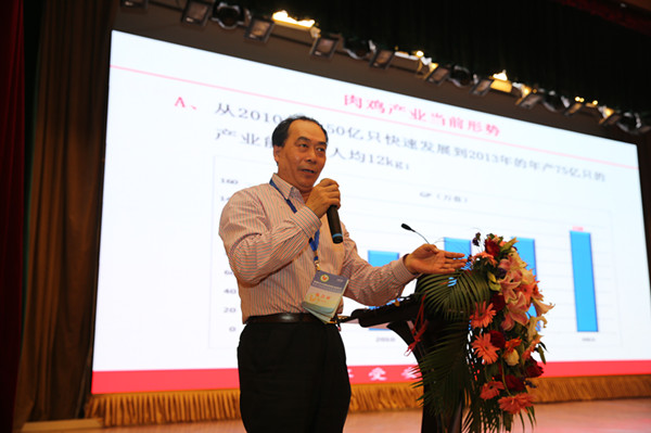 　　李景辉：2016年肉鸡到底够不够?