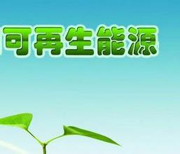 可再生能源发电享 最高优先调度等级