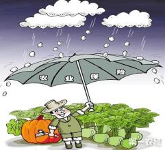 農(nóng)業(yè)保險(xiǎn)市場(chǎng)-華夏經(jīng)緯市場(chǎng)調(diào)查公司