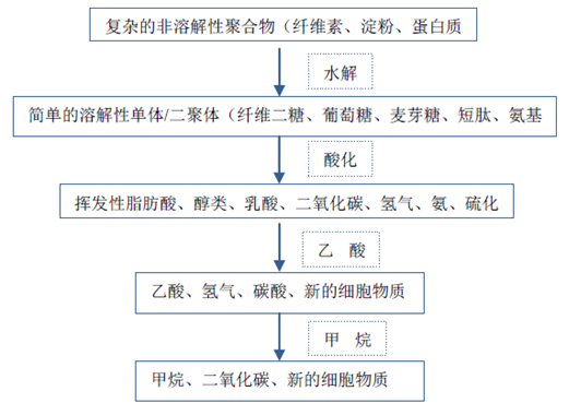 厌氧反应流程图-灵核网