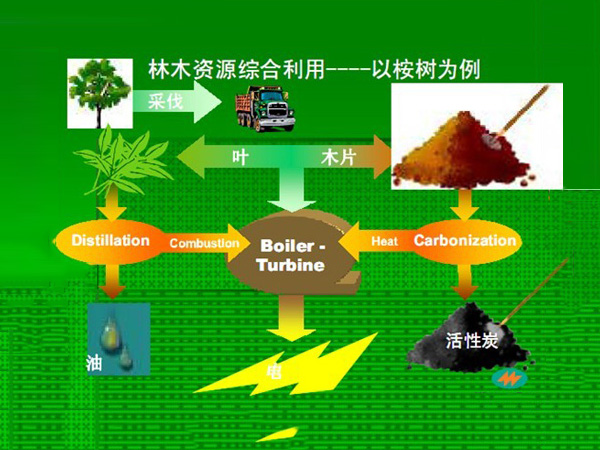 原油进口放量生物质能源发展潜力待挖掘