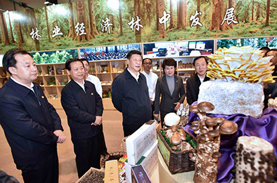 习近平考察黑龙江：转型发展 民生为要