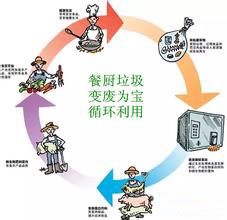 国内外餐厨垃圾处理现状