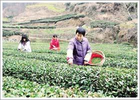 发展新型功能性肥料　加快“走出去”步伐