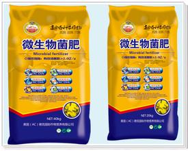 小麦施用生物菌肥农民“意外”获增产