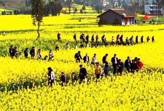 乡村旅游助徐州农民创业致富
