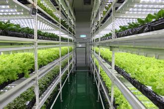 植物工厂