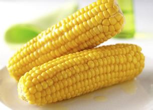 2016年7月27日广东省豆粕价格最新行情