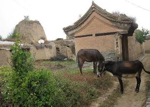 中国农村创业千村调查，东西部资源和观念分析