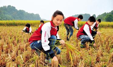 主动调整种植结构，2016年全国粮食再获丰收
