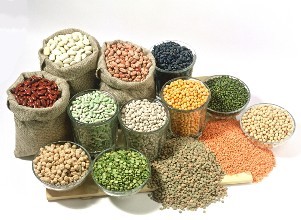 粮食