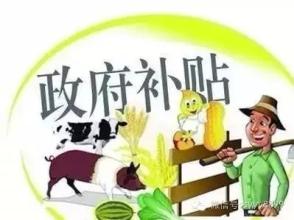 2017年养殖类补贴标准出炉！养殖业补贴申报条件
