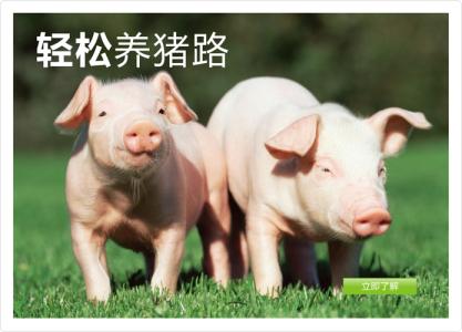 养猪补贴