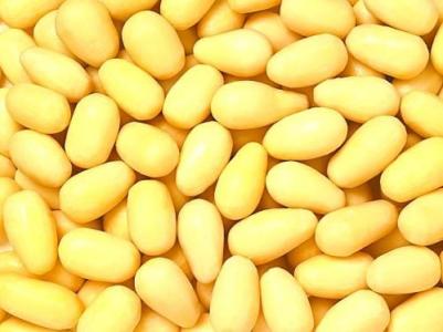2017年2月15日河南豆粕价格行情