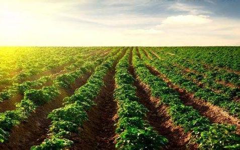 农业部提出土壤污染治理目标 开启数万亿市场规模