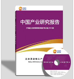 北京市场调研报告-灵动核心