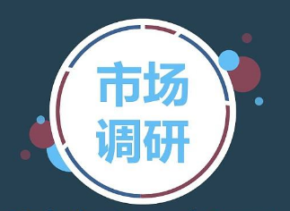 北京灵核网市场调研公司
