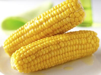 2017年4月6日湖南玉米价格行情