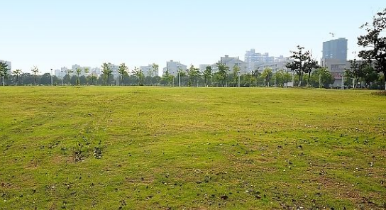 2017年农林牧渔行业研究报告:关注种业和深加工机会