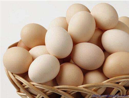 2017.5.12北京鸡蛋价格行情走势