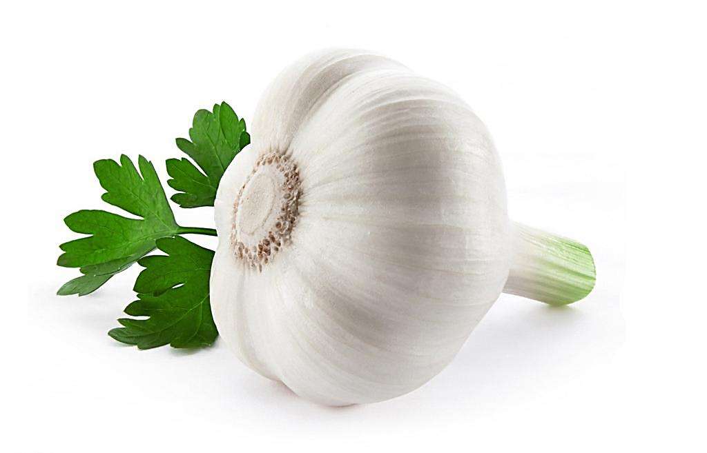 5月新蒜大量上市 保鲜蒜价格大幅下降