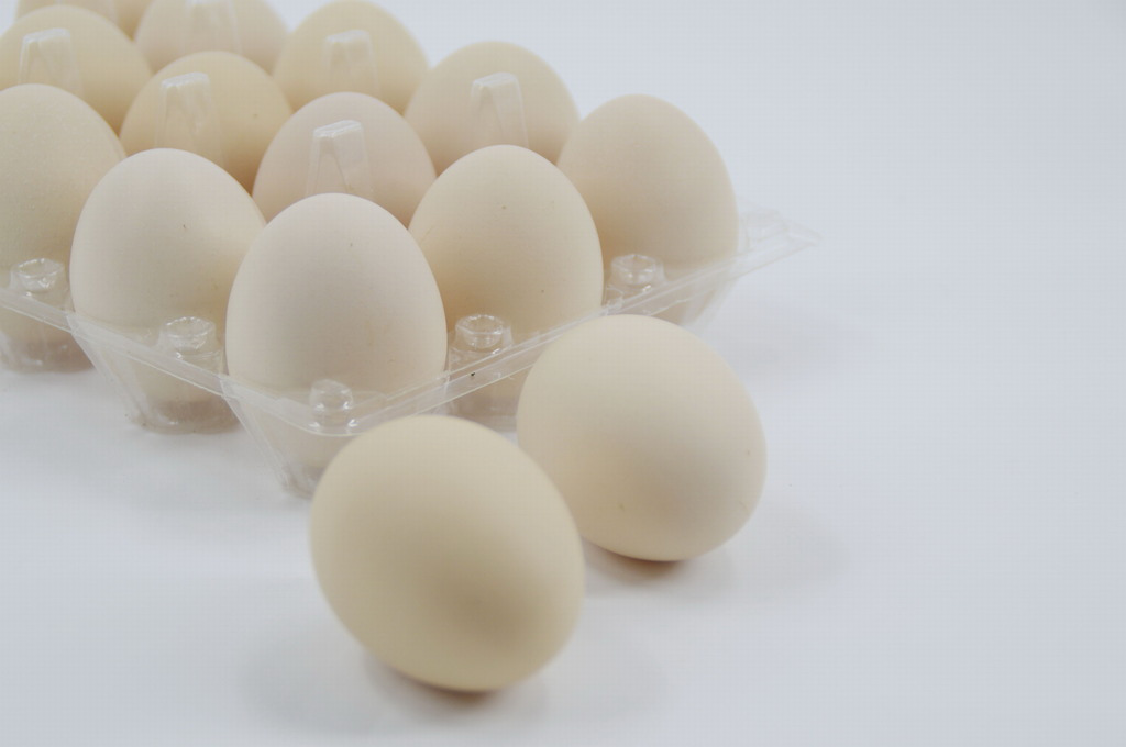 2017.6.20北京鸡蛋价格 北京鸡蛋价格多钱一斤