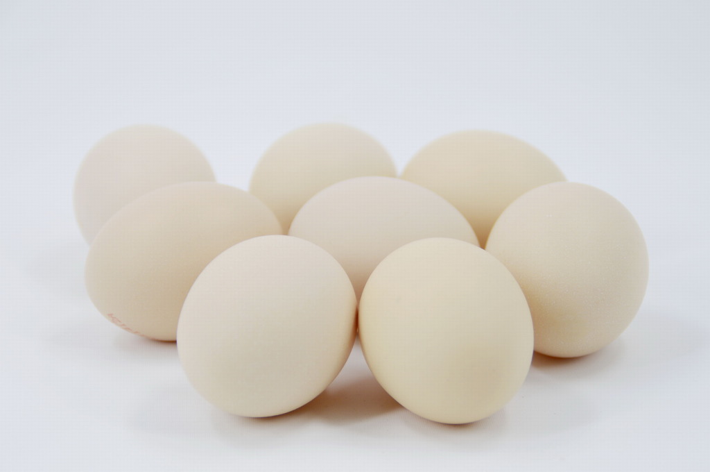 北京鸡蛋价格2017.7.13日 北京鸡蛋价格最新行情