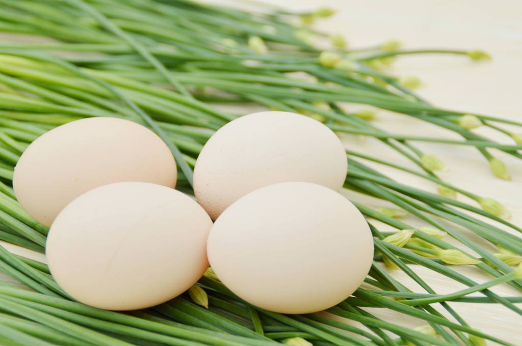 今日鸡蛋价格2017.7.27 今日鸡蛋价格行情